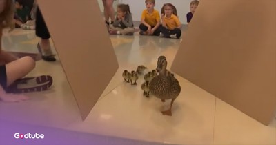 This Elementary School’s Annual Parade Is Almost Too Cute to Handle