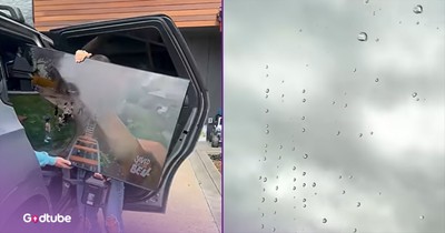 Hilarious Look at Modern Car Ride Entertainment Hits Home