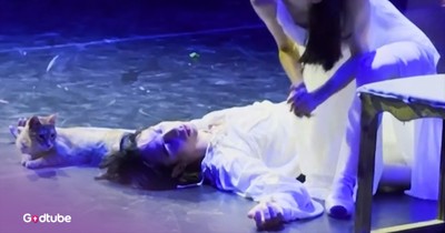 Cat Steals the Show with Unexpected Appearance During a Play
