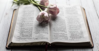 8 Proverbs to Decrease Anxiety and Increase Peace
