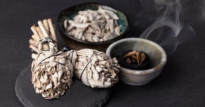 God Is Omniscient - Greg Laurie Devotion - November 19, 2025