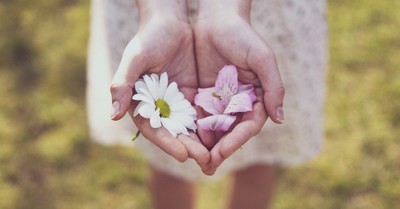 How Does God Use Flowers to Teach Us about Himself?
