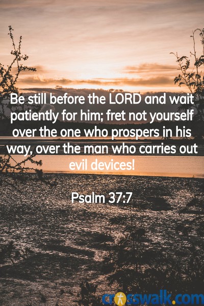 10 Amazing Bible Verses For Patience Best Calming Scriptures