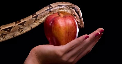 How Did the Serpent Speak to Eve?