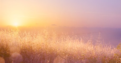 Finding God in Creation (Romans 1:19-20) - Your Daily Bible Verse - November 18