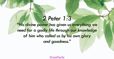 2 Peter 1:3 - NIV Bible - His divine power has given us everything we  need...