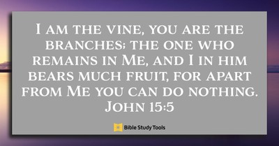 How to Hang onto God (John 15:5) - Your Daily Bible Verse - February 23