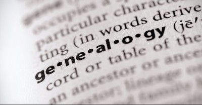 A Decade of “Words of the Year”