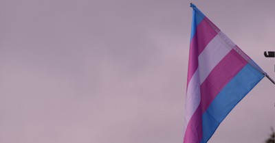The transgender flag, Pixar is casting its first transgender character