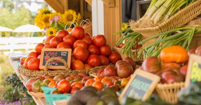 Farmers market, Farmers are in court after they were barred from participating in a famers market over their views on marriage