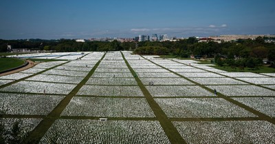 More Than 660,000 White Flags Displayed on National Mall Lawn in Honor of Americans Killed from COVID-19