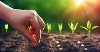 Planting Seeds: What the Word of God Does for Our Lives