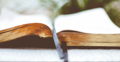 A Prayer for Increased Obedience - Your Daily Prayer - June 13