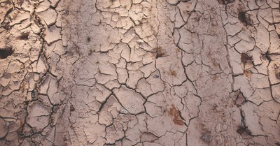 Drought Conditions- Homeword- June 5