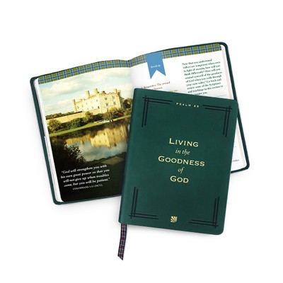 living in the goodness of god bible study daily hope