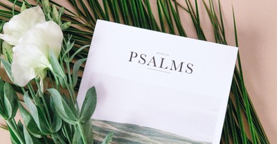 Why the Book of Psalms Is for You - Your Daily Bible Verse - March 28