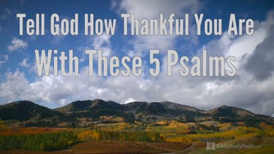 Tell God How Thankful You are with These 5 Psalms!