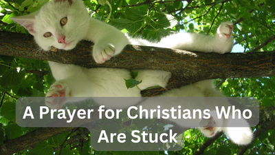 A Prayer for Christians Who Are Stuck
