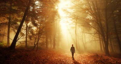 A Prayer to Stay in Step with God’s Spirit - Your Daily Prayer - June19