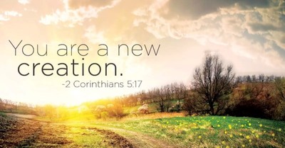 Walking in the Newness of Life - Crosswalk PLUS Video Devotional