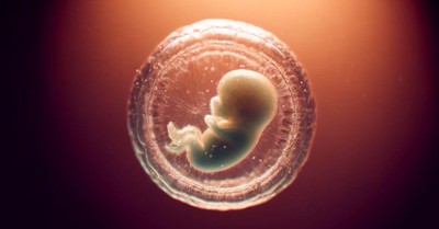 30-Year-Old Embryo’s Birth Sparks Debate Over Faith, Technology, and the Sanctity of Life