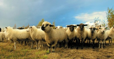 The First to Know - Greg Laurie Devotion - December 03, 2025