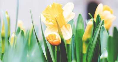 20 Short Prayers to Prepare Your Heart for Easter