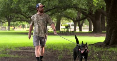 Vietnam Vet Passes Away, His Mailman Rushes to Adopt His Dog