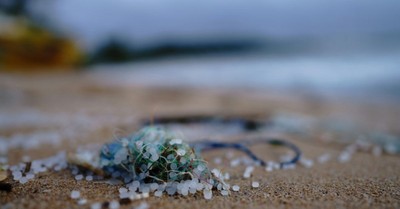 The Microplastic Crisis and the Challenge of Stewarding a Polluted World Well