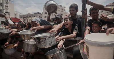 When Alice in Wonderland Meets Palestine
