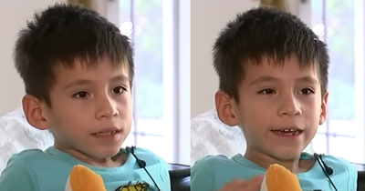 Young California Boy Survives Coyote Attack While at His Sister's Softball Game