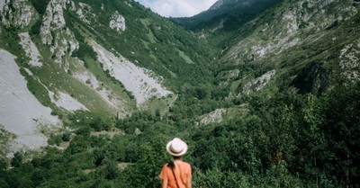 How Psalm 23 Guides Us Through Life’s Valleys
