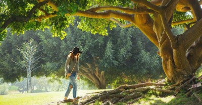 6 Trees in the Bible That Point Us to God's Justice, Mercy, and Eternal Life