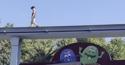 Boy Who Climbed On the Monorail Track at Hersheypark, Saved By Man Afraid of Heights