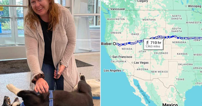 Her Dog Was Finally Found 2,000 Miles From Home After Going Missing During a Storm