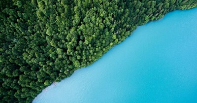 With Gemini Earth, Google Turns the Globe Into an AI Classroom