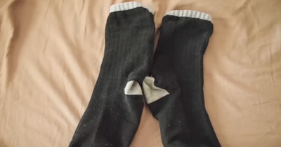 Lost Dog is Found Using His 93-Year-Old Owner's Dirty Socks