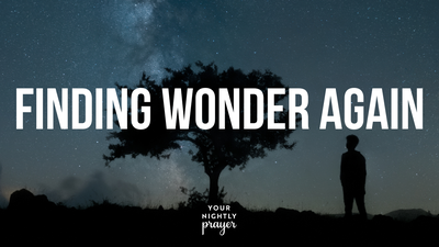 Finding Wonder Again | Your Nightly Prayer