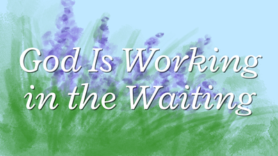 God Is Working in the Waiting | Your Nightly Prayer