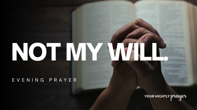 The Garden of Surrender | Your Nightly Prayer