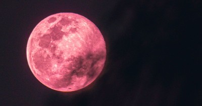 What Is the Paschal (Pink) Moon and What Does It Have to Do with Easter?