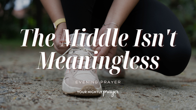 Not Losing Heart in the Middle | Your Nightly Prayer
