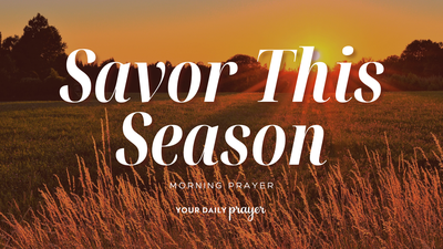 A Prayer to Help Us Savor Long Summer Days | Your Daily Prayer