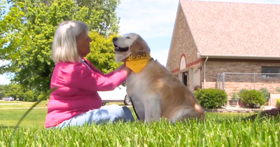 Golden Retriever Becomes a Loving Caregiver After Wife’s Alzheimer’s Diagnosis