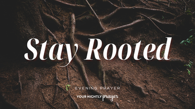 Entering a New Season Rooted in God | Your Nightly Prayer