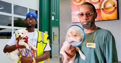 Garbage Truck Driver Finds Dog in His Truck and Gives Him a Second Chance