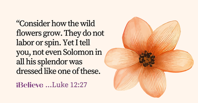 Your Daily Verse - Luke 12:27 - September 6th