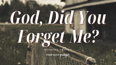 A Prayer When You Feel Forgotten in a Waiting Season | Your Daily Prayer