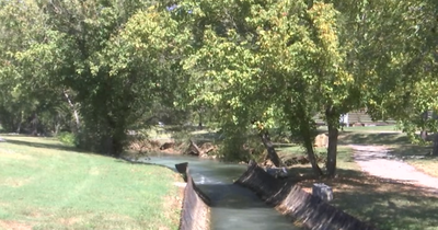College Student Spots 3-Year-Old Clinging to a Creek Branch and Jumps In to Save Him