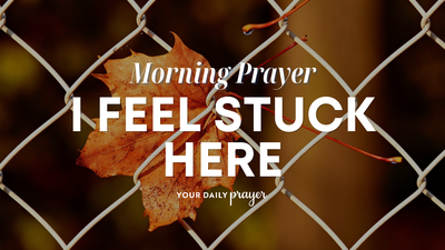 A Prayer for Good Purpose in the Place God Has You | Your Daily Prayer